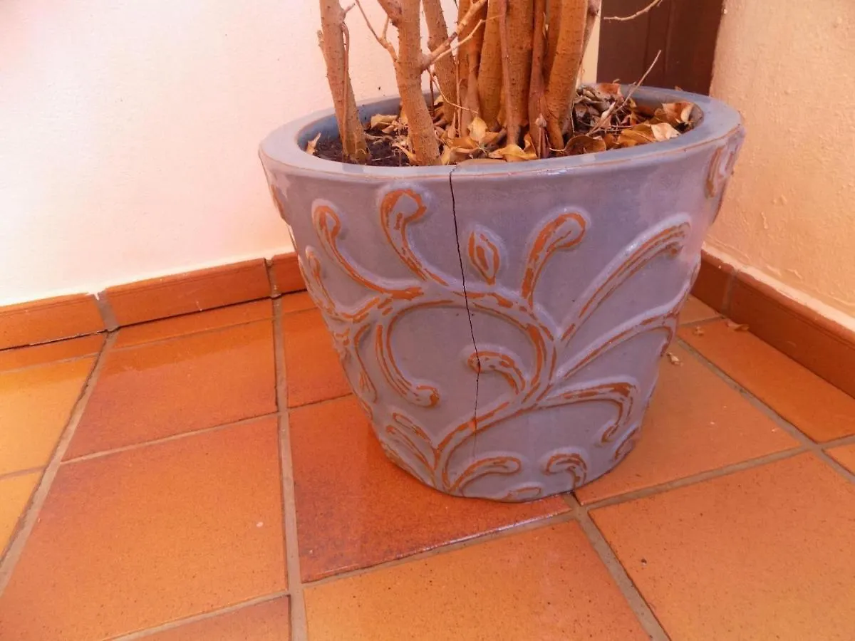 Apartment Belvilla By Oyo Playa Granada Spain